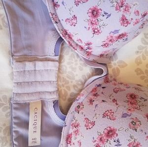 LaneBrynt Cacique plunged Bra